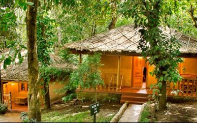 Sterling Thekkady 1 - Copy