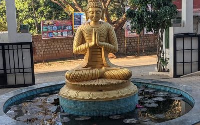 Sterling Yelagiri 1 - Copy